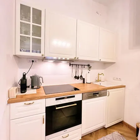 Altbaucharme Direkt Im Zentrum * Грац