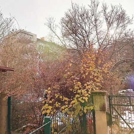 アパート Altbaucharme Direkt Im Zentrum *