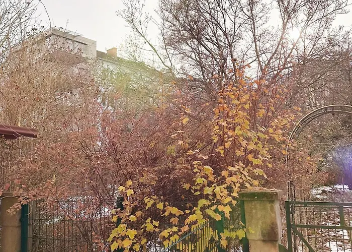 Апартаменти Altbaucharme Direkt Im Zentrum *